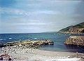 Porthwikkel (morrep)
